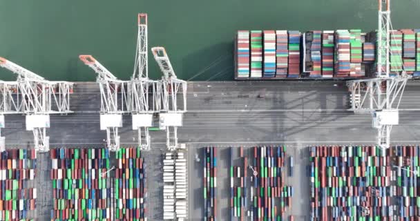 Havre Mai 2023 Frankreich Blick Von Oben Auf Das Containerterminal — Stockvideo