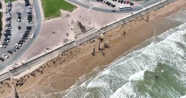 Мемориал Второй Мировой Войны Пляже Омаха Нормандия Франция Воздушный Беспилотник — стоковое видео