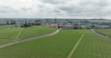 Saint Emilion şarap köyünün üzüm bağlarıyla çevrili bir insansız hava aracı videosu. Fransa.