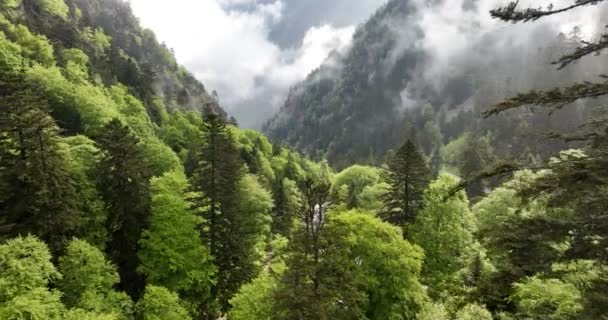 Typowy Świeży Górski Krajobraz Kaskadowym Wodospadem Filmik Dronami Lotniczymi — Wideo stockowe