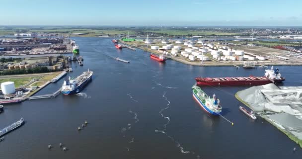 Amsterdam Juni 2023 Nederland Grote Bulkschepen Aangemeerd Haven Van Amsterdam — Stockvideo