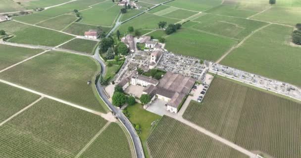 Veduta Aerea Drone Castello Del Vino Francia Vicino Bordeaux Circondato — Video Stock