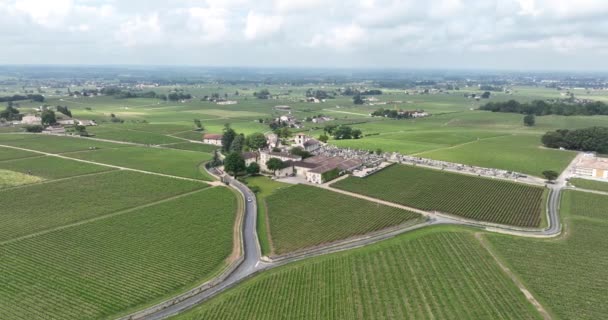 Aerial Drone Video Vineyards Grape Plants Wine Area Bordeaux France — Stock Video