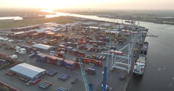 Amsterdam Juni 2023 Niederlande Drohnenvideo Aus Der Luft Logistikunternehmen Hafen — Stockvideo