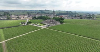 Bordeaux, Fransa 'daki üzüm bağlarının ve üzüm bitkilerinin hava aracı videosu..