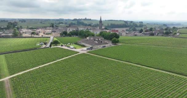 Légi Felvétel Bordeaux Szőlőültetvényekről Szőlőültetvényekről Franciaország — Stock videók