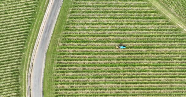 Drohnenvideo Eines Bauern Einem Traktor Der Sein Weinanbauland Frankreich Bearbeitet — Stockvideo