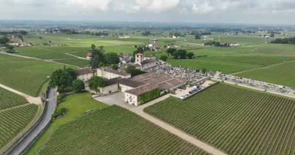 Luchtfoto Drone Video Van Een Wijnkasteel Het Midden Van Druivenplantages — Stockvideo