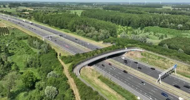 空中无人驾驶视频一个生态管道 野生动物的立交桥 和一条公路在下面运行 Autena生态管道 — 图库视频影像