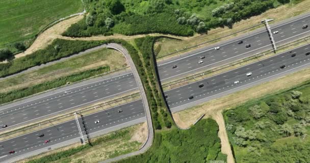 Ecoduct Wilflide Passing Transportation Highway Netherlands Aerial Drone Video 50Fps — Stock Video