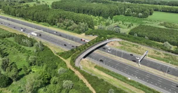 Ecoduct Wilflide Passerar Och Transport Motorväg Nederländerna Flygdrönare Video 50Fps — Stockvideo