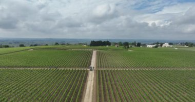 Bordeaux, Fransa yakınlarındaki üzüm bağlarının yükselen bir insansız hava aracı görüntüsü. Sahadaki küçük traktör..