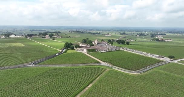 Aerial Drone Video Wine Chateau Middle Grape Plantations France — Stock Video
