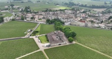 Bordeaux, Fransa 'daki üzüm bağlarının ve üzüm bitkilerinin hava aracı videosu..