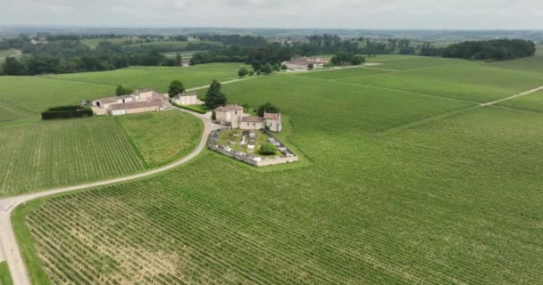 Filmik Dronami Lotniczymi Zamku Wina Środku Plantacji Winogron Francji — Wideo stockowe