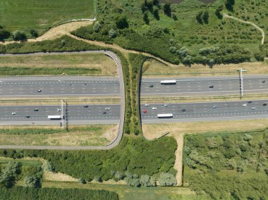 Hollanda 'da vahşi yaşam altyapıyı geçiyor. Yukarıdan aşağıya hava aracı görünümü.