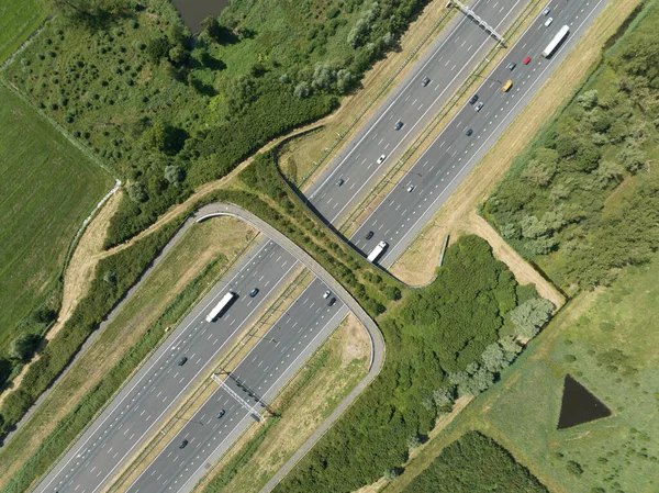 Bir eko kanalının hava aracı videosu, yaban hayatı için bir üst geçit ve altından geçen bir otoyol. Ecoduct Autena