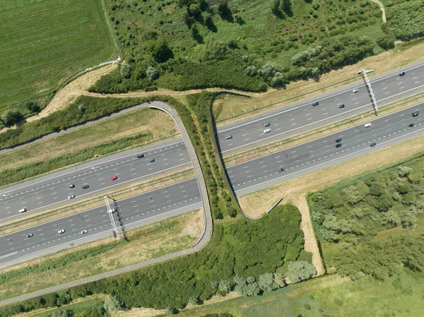 Aerial Top Drone View Ecoduct Autena Alatta Futó Autópálya — Stock Fotó
