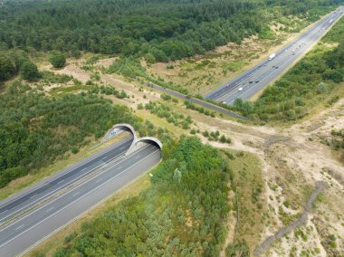 Hollanda 'daki Ecoduct Hoog Buurlo' da tepeden aşağı hava manzarası.