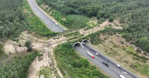 Hollanda Daki Ecoduct Hoog Buurlo Tepeden Aşağı Hava Manzarası — Stok video