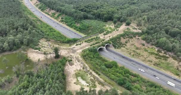 Drohnenaufnahme Einer Wilden Passage Über Einer Autobahn Den Niederlanden Ökologisch — Stockvideo