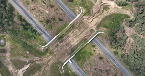 荷兰杜奇高速公路上的一条野生动物通道的空中无人驾驶飞机图片 — 图库视频影像