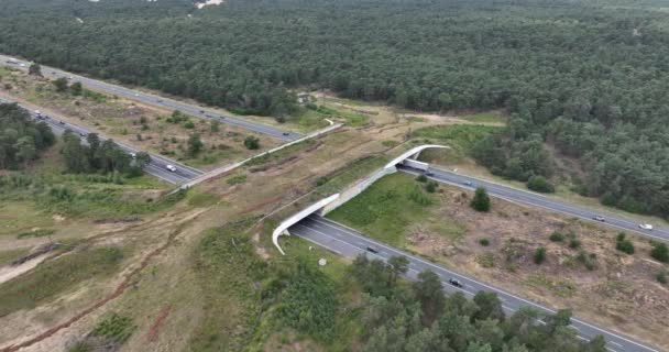 Wildtierbrücke Tierquerung Ökokanal Den Niederlanden Über Eine Autobahn Drohnenaufnahme Aus — Stockvideo