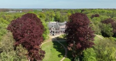 Yeşil bir manzarada ağaçlar arasında ortaya çıkan tarihi bir şatonun insansız hava aracı görüntüsü. Kasteel Groeneveld, Baarn, Hollanda 'da.