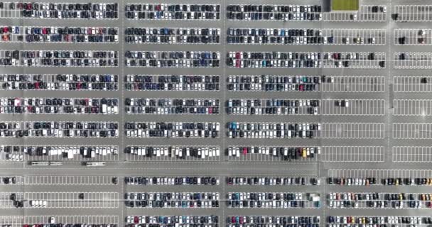 Stor Parkeringsplads Holland Top Udsigt Fra Luften Drone Udsigt – Stock-video