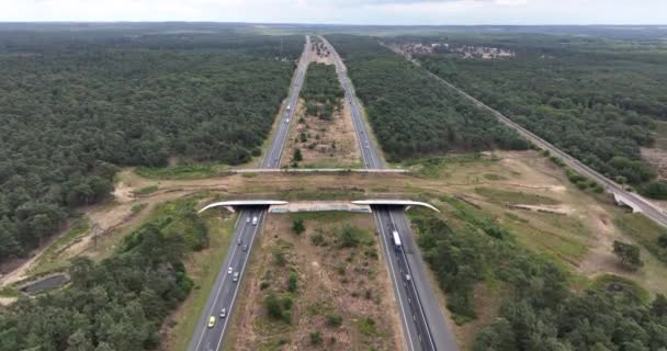 野生动物穿越高速公路上的生态管道 荷兰基础设施景观工程 — 图库视频影像