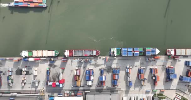 Moerdijk August 2023 Niederlande Draufsicht Auf Das Containerterminal Hafen Von — Stockvideo