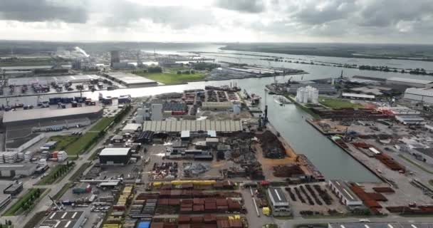 2023年8月3日 オランダ オランダの大きな港ムエルディク港 空中ドローンビュー — ストック動画