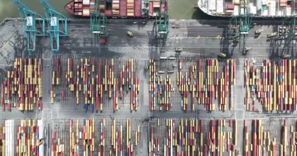 安特卫普 2023年8月12日 比利时安特卫普港口集装箱码头的无人驾驶飞机俯瞰 国际贸易中的高效货物装卸 — 图库视频影像