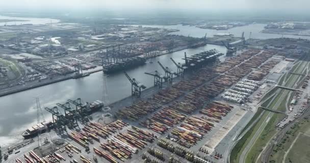 Antwerpen Augustus 2023 België Maritieme Wereld Van Containerterminals Van Deurganckdok — Stockvideo