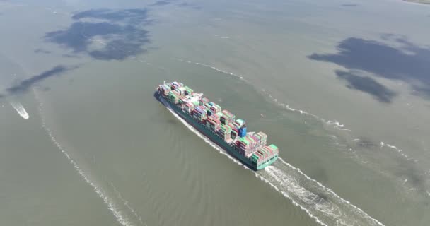 Antwerpen August 2023 Belgien Drohnenaufnahme Des Großen Containerschiffs Thalassa Patris — Stockvideo