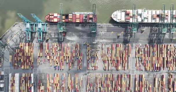Antwerpen Augustus 2023 België Top Luchtdrone Schot Containerterminals Haven Van — Stockvideo