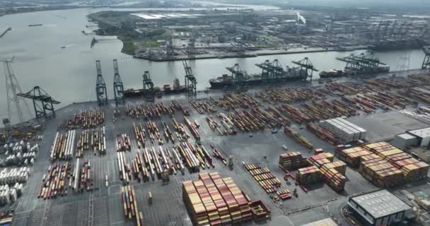 アントニオ 2023年8月12日 ベルギー アントニオ港のコンテナターミナルで撮影された空中ドローン 荷を積み下ろすためにドッキングされた船 — ストック動画