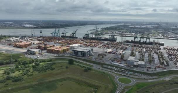 Antwerpen Ağustos 2023 Belçika Antwerp Teki Deurganckdok Konteynır Terminallerinin Deniz — Stok video