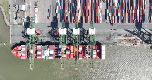 安特卫普 2023年8月12日 比利时航空无人机观察集装箱船在进口 物流和国际集装箱运输中的集装箱船 — 图库视频影像