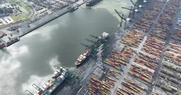 Antwerpen Augustus 2023 België Duizenden Commerciële Zeecontainers Het Haventerrein Wachten — Stockvideo