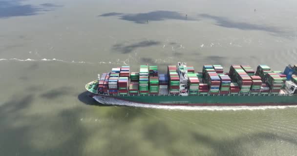 Anversa Agosto 2023 Belgio Nave Portacontainer Sfl Evergreen Che Naviga — Video Stock