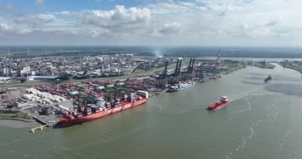 Anversa Agosto 2023 Belgio Navi Portacontainer Attraccate Terminal Noordzee Carico — Video Stock