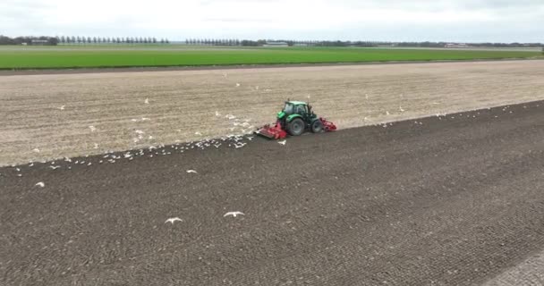 Grön Traktor Arbetar Marken Nederländerna Flygdrönare — Stockvideo