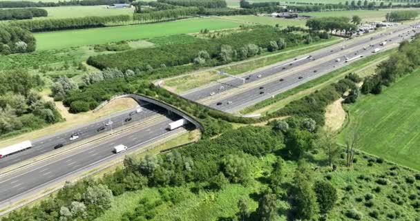 Ecoduct Autena Also Referred Ecoduct Autenase Kade Ecoduct South Everdingen — Stock Video