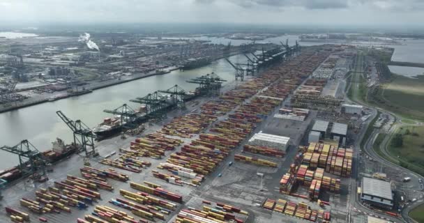 Antwerpen Augusti 2023 Belgien Antwerpens Hamn Haven Van Antwerpen Containerhamn — Stockvideo