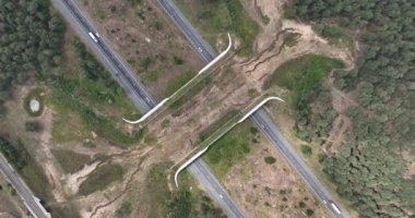 Hollanda Ekolünde tepeden aşağı manzara, otoban boyunca vahşi yaşam için geçiş. Hava aracı görünümü.