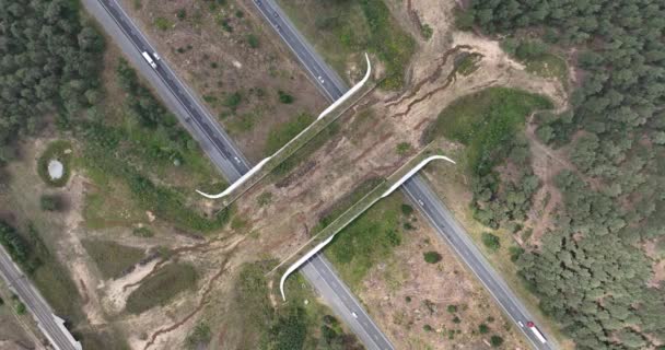 从上往下俯瞰一条弯弯曲曲的生态通道 穿过高速公路的野生动物通道 空中无人驾驶飞机视图 — 图库视频影像