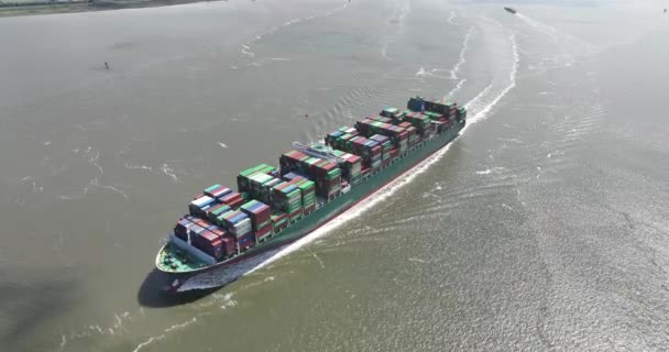 Antwerpen 12Th August 2023 Belgium Sfl Evergreen Container Ship Sailing — Stock Video