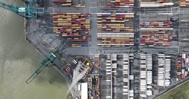Вид Повітряний Дрон Контейнерного Терміналу Порту Антверпен Логістика Ефективне Поводження — стокове відео