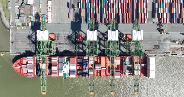 Antwerpen Ağustos 2023 Belçika Antwerp Limanı Nda Yükleme Boşaltma Dahil — Stok video